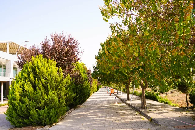 Mercidabık Kampüsü