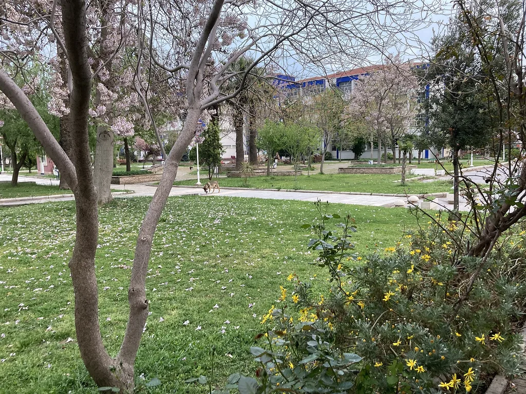 Ege üniversitesi kampüs içinde