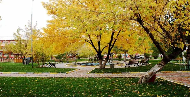 Sağlık Yerleşkesi
