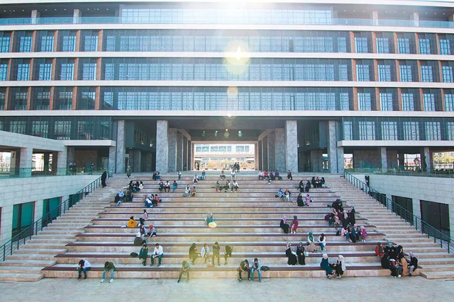 İstanbul 29 Mayıs Üniversitesi