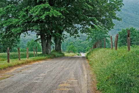 Kastamonu Üniversitesi Yerleşke Dağlık Yol