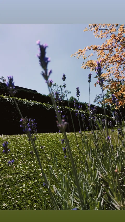 Altinbas University Garden istanbul
