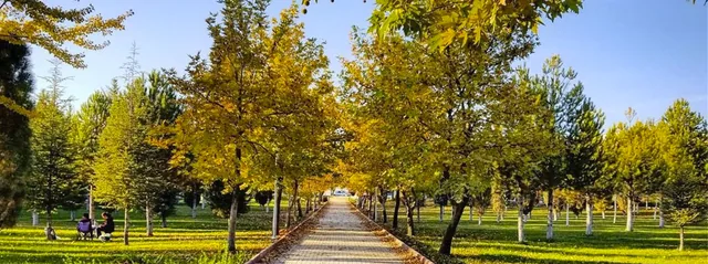 Fırat Üniversitesi