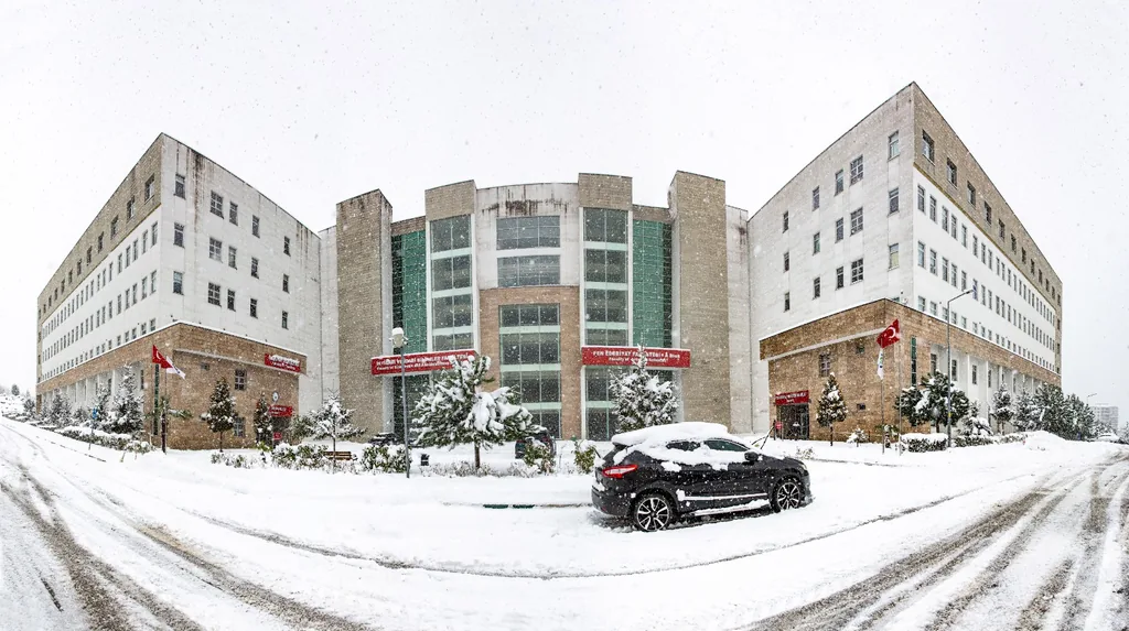 Giresun Üniversitesi